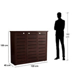 Shoe Storage-Brown